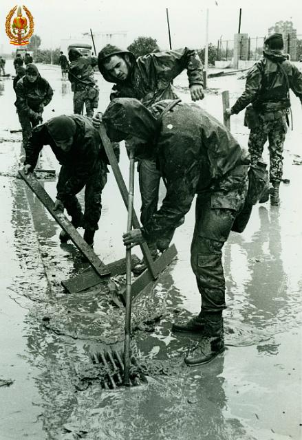 Maniobras y Guerrillas063.jpg